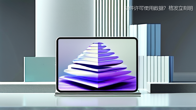 软件许可使用数据？格发立刻明